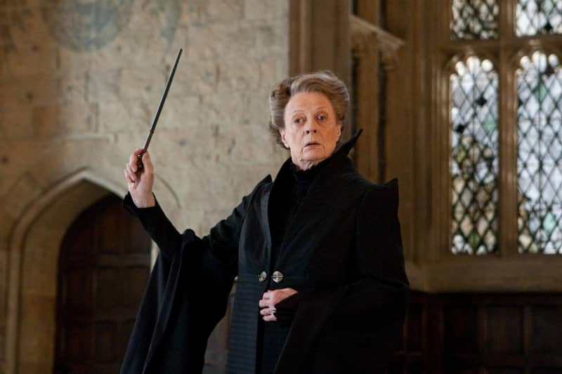 <p>"Professor Minerva McGonagall" is one of the most well-known characters in the franchise, especially since she is the Head of Gryffindor! It was British actress Maggie Smith who brought the stern but kind "McGonagall" to life, and she has continued an exciting career since.</p>