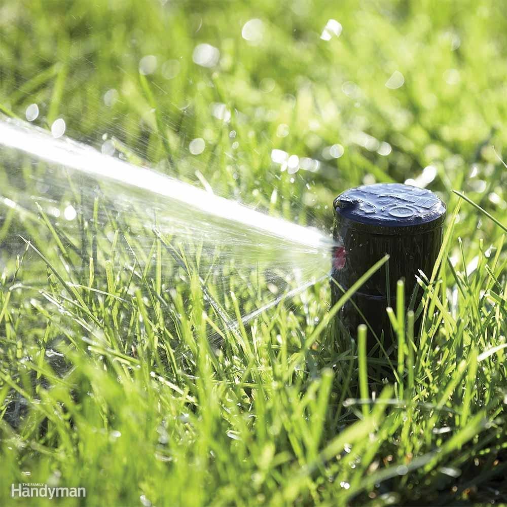 10 Smart and Effective Ways to Water Your Lawn