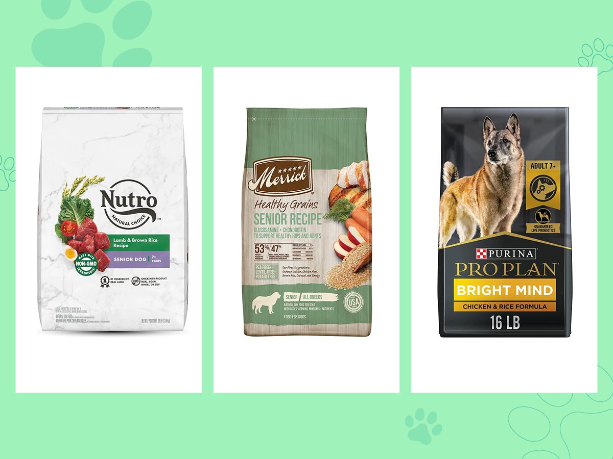 The best senior dog food of 2024, with advice from veterinarians