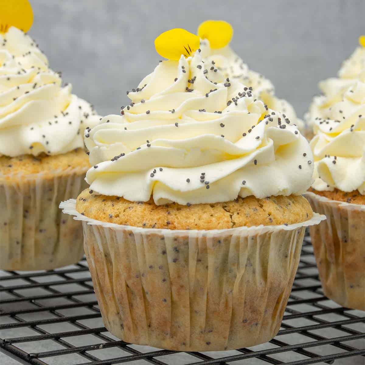 I Am A Pastry Chef And These Are My Favorite Cupcake Recipes To Make 