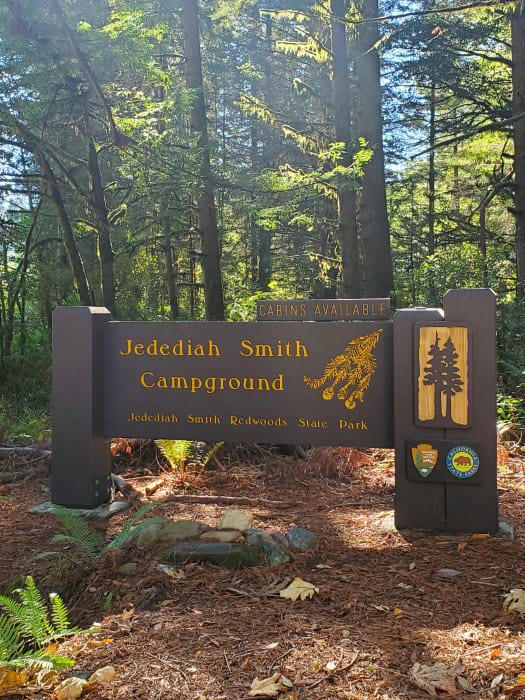 JEDEDIAH SMITH CAMPGROUND - JEDEDIAH SMITH REDWOODS STATE PARK