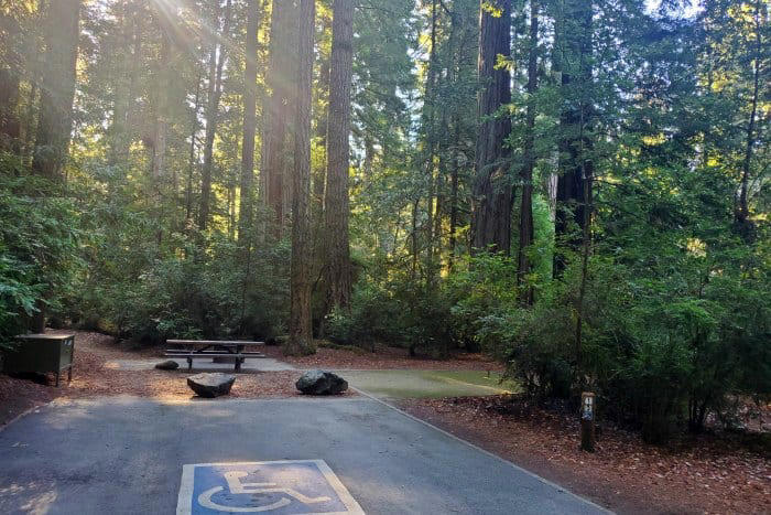 JEDEDIAH SMITH CAMPGROUND - JEDEDIAH SMITH REDWOODS STATE PARK