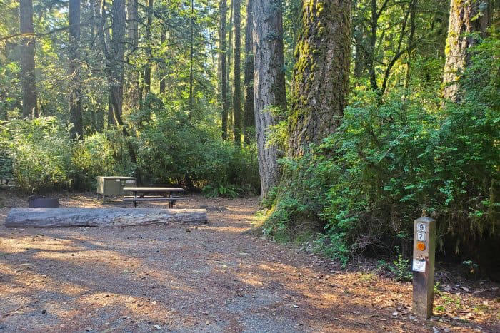 JEDEDIAH SMITH CAMPGROUND - JEDEDIAH SMITH REDWOODS STATE PARK
