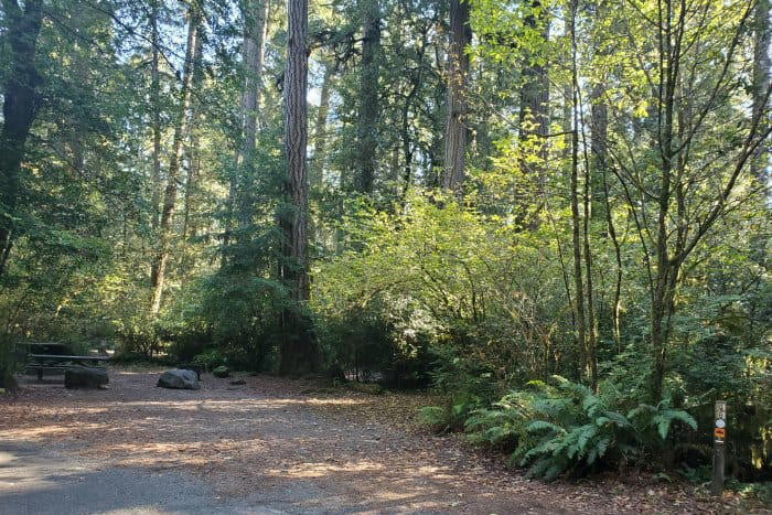JEDEDIAH SMITH CAMPGROUND - JEDEDIAH SMITH REDWOODS STATE PARK
