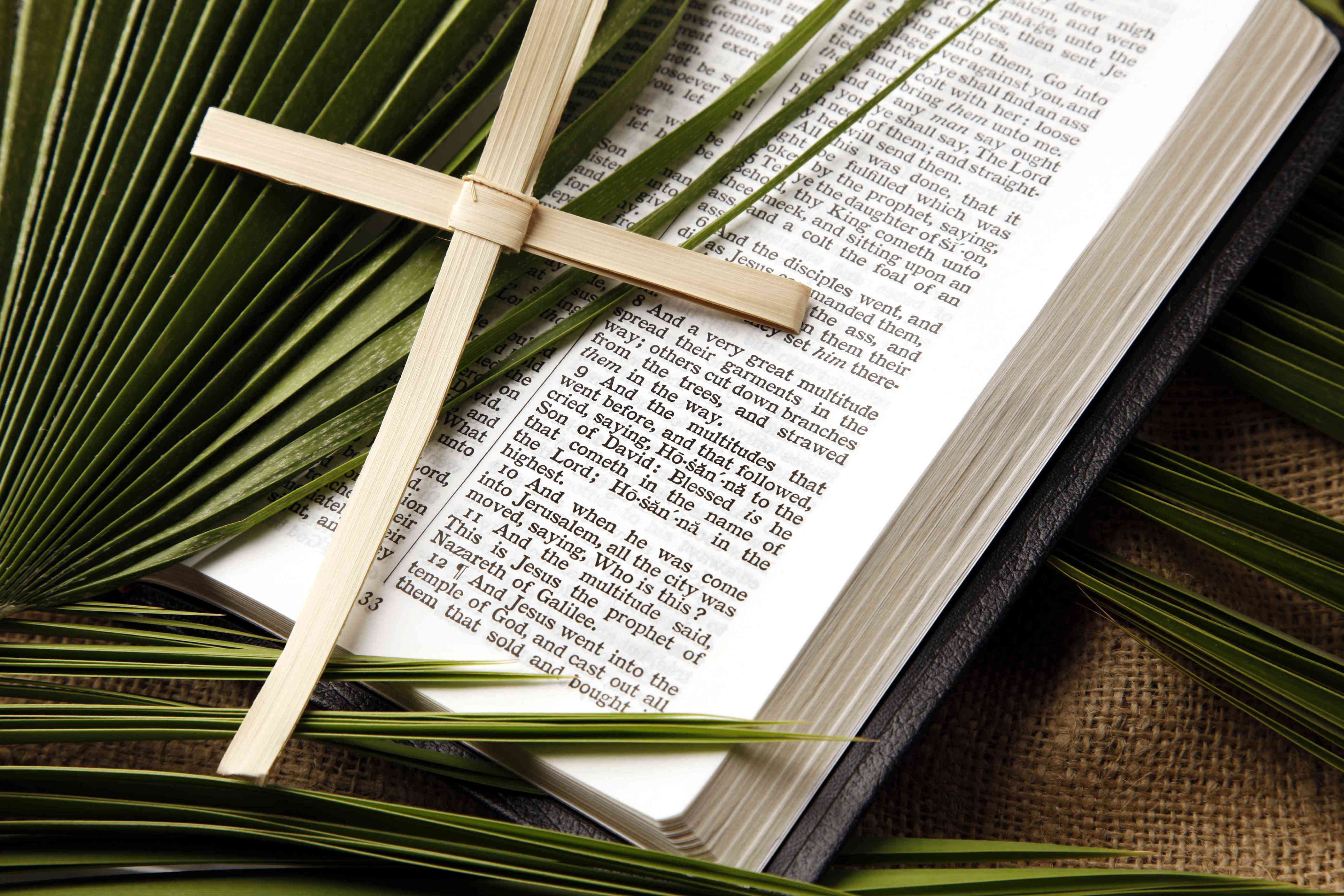 When Is Palm Sunday In 2024?