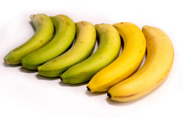 덜 익은 바나나는 당 지수가 낮아 혈당 관리에 도움이 된다. 잘 익은 바나나는 소화가 잘 되고 운동 중 근육 경련 예방에 도움을 준다. [사진=클립아트코리아]