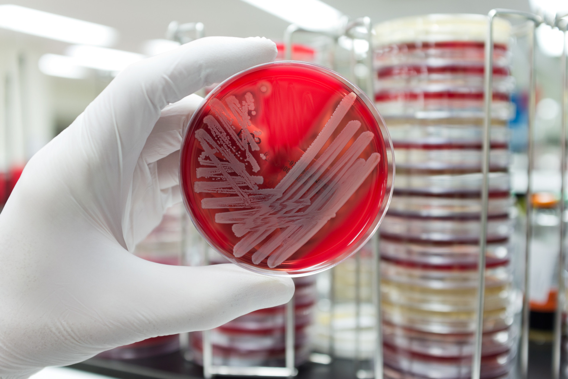 Ces maladies peuvent vous tuer en 24 h à peine