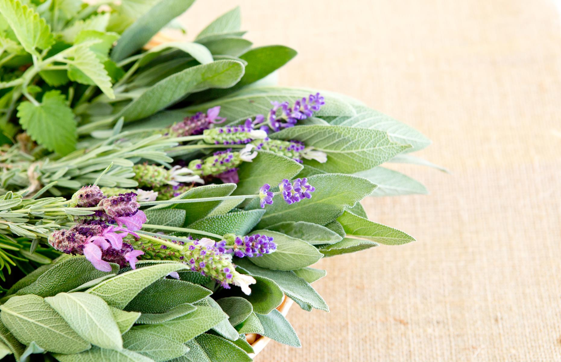 40 food hacks you should NOT try at home