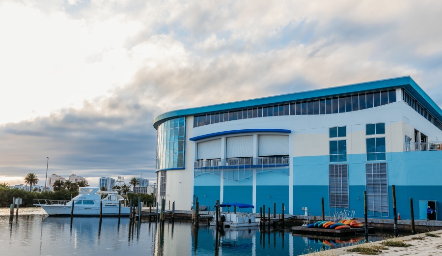 Clearwater Marine Aquarium announces campaign to raise 32 million to