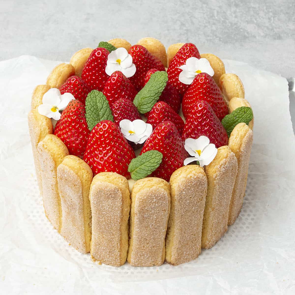 <p>Making this showstopper French <a href="https://www.spatuladesserts.com/strawberry-charlotte-cake/">Charlotte cake</a> is so simple. It is, in fact, just layers of fluffy ladyfingers, vanilla-flavored créme mousseline, and Spring berries. As you’ll see, the elements of Charlotte cake are very easy, but it certainly looks very impressive. Sort of a strawberry tiramisu with creamy vanilla filling!</p>