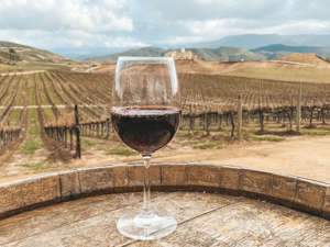 Red wine sits in a wooden barrel in front of a dead vineyard on a wine tour in Temecula.