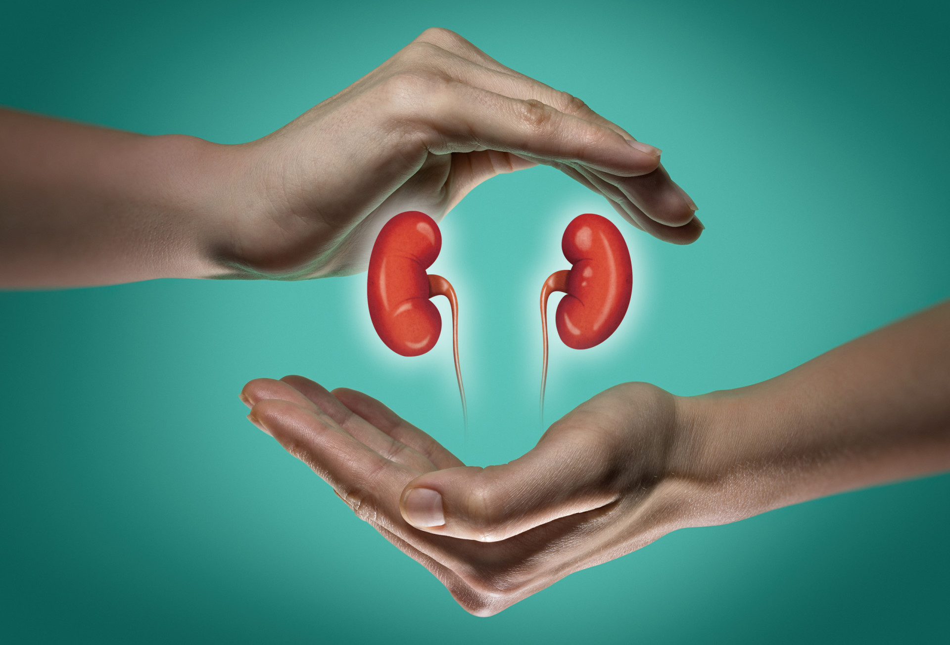 are-you-taking-care-of-your-kidneys