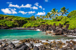 When you visit Maui in February, you can go whale watching or explore hidden black sand beaches on the Road to Hana.