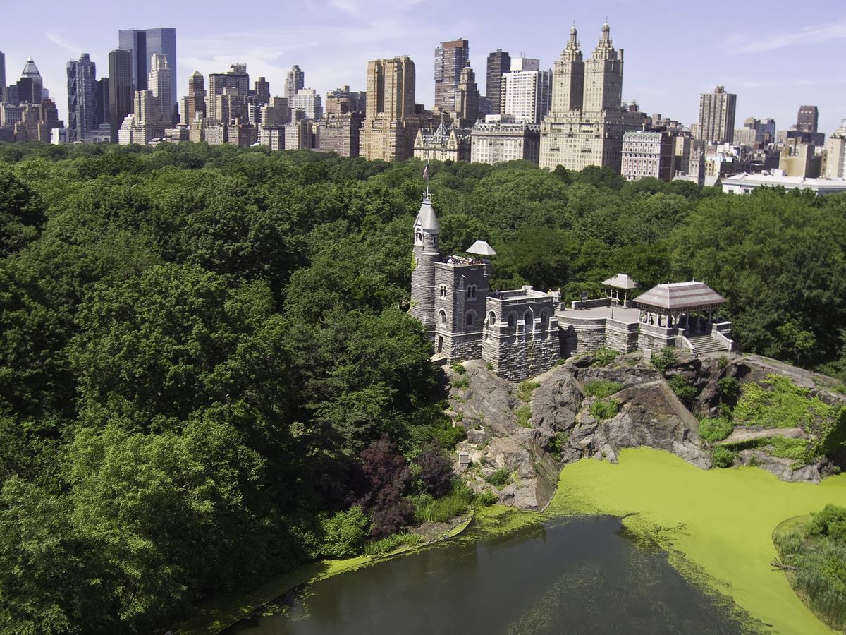 <p>Sitting pretty in the middle of New York City's Central Park is one of the country's most famous castles. <a href="https://www.centralparknyc.org/locations/belvedere-castle">Completed in 1872</a>, the park's co-designer, Calvert Vaux, wanted the Gothic structure to serve as a surprising landmark for visitors to discover on their walks.</p><p><a class="body-btn-link" href="https://go.redirectingat.com?id=74968X1553576&url=https%3A%2F%2Fwww.tripadvisor.com%2FAttraction_Review-g60763-d272516-Reviews-Belvedere_Castle-New_York_City_New_York.html&sref=https%3A%2F%2Fwww.housebeautiful.com%2Flifestyle%2Fg15957174%2Fbest-castles-united-states%2F">Shop Now</a></p>