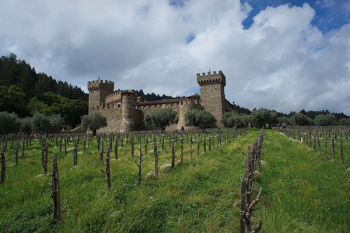 <p>It took 15 years to build this <a href="http://www.castellodiamorosa.com/">13th-century replica of a Tuscan castle</a>, located in the middle of California's Napa Valley. The wait was worth it: It's a huge tourist attraction today, offering tours and wine tastings.</p><p><a class="body-btn-link" href="https://go.redirectingat.com?id=74968X1553576&url=https%3A%2F%2Fwww.tripadvisor.com%2FAttraction_Review-g32143-d645572-Reviews-Castello_di_Amorosa-Calistoga_Napa_Valley_California.html&sref=https%3A%2F%2Fwww.housebeautiful.com%2Flifestyle%2Fg15957174%2Fbest-castles-united-states%2F">Shop Now</a></p>