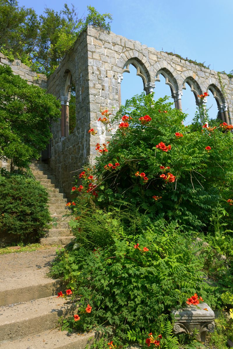 <p>Built in the late 1920s, this once served as the <a href="https://www.hammondcastle.org/about/hammond-castle-museum/">laboratory of John Hays Hammond Jr.</a>, an inventor who held 19 pipe organ technology patents. Between the medieval arches, winding stairwells, and seaside views, be sure to bring your camera for this one. </p><p><a class="body-btn-link" href="https://go.redirectingat.com?id=74968X1553576&url=https%3A%2F%2Fwww.tripadvisor.com%2FAttraction_Review-g41580-d260102-Reviews-Hammond_Castle_Museum-Gloucester_Cape_Ann_Massachusetts.html&sref=https%3A%2F%2Fwww.housebeautiful.com%2Flifestyle%2Fg15957174%2Fbest-castles-united-states%2F">Shop Now</a></p>