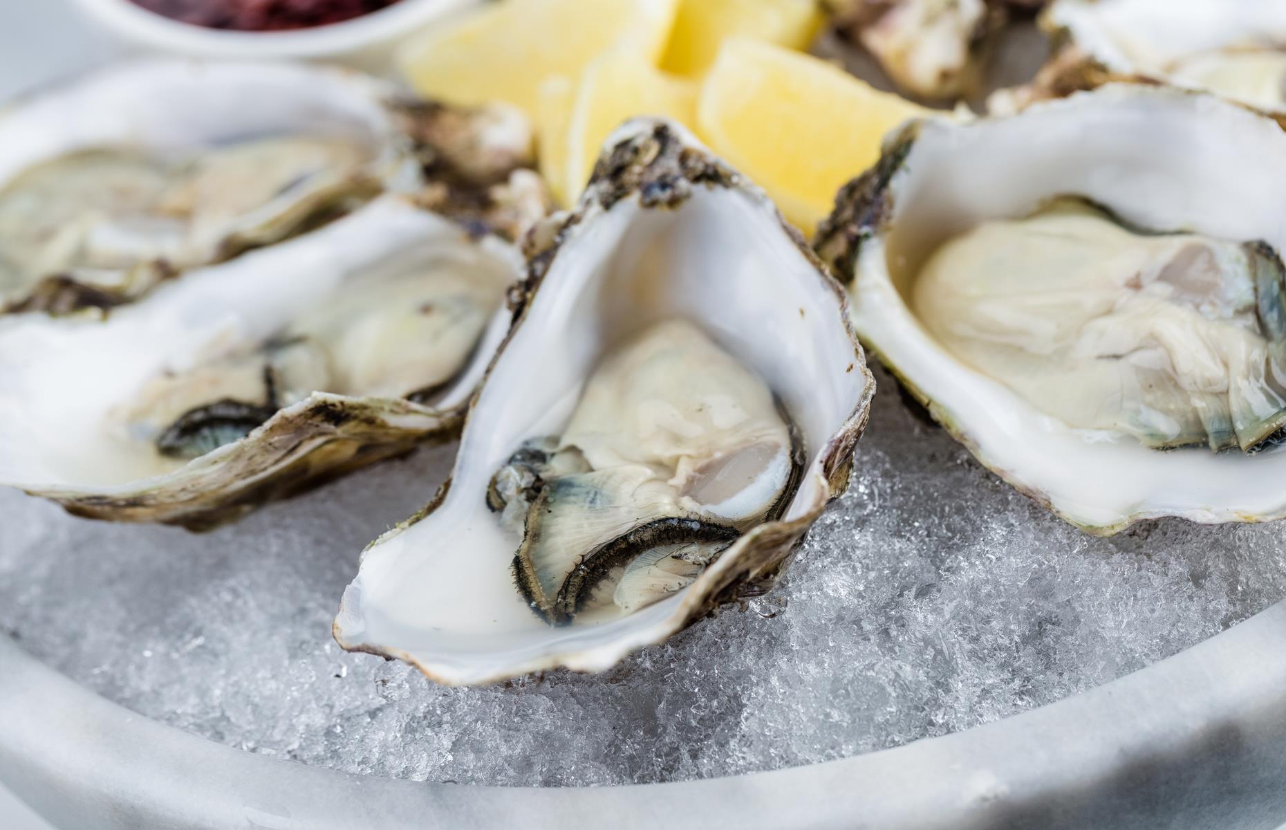 Last meal on the Titanic: what passengers really ate