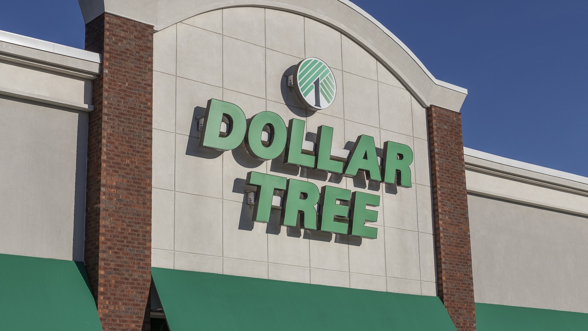 Dollar Tree: 10 Items To Buy That Look Way More Expensive