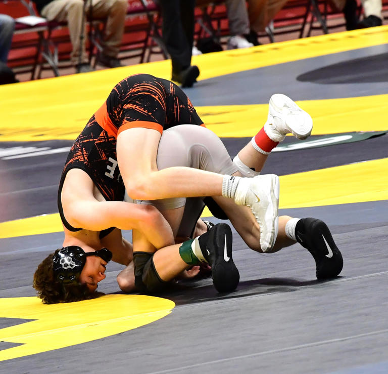 Freshmen to near misses Wrestlers aiming to place at the OHSAA tourney