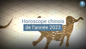 Horoscope chinois - les prévisions de l'année 2023 pour tous les signes astrologiques