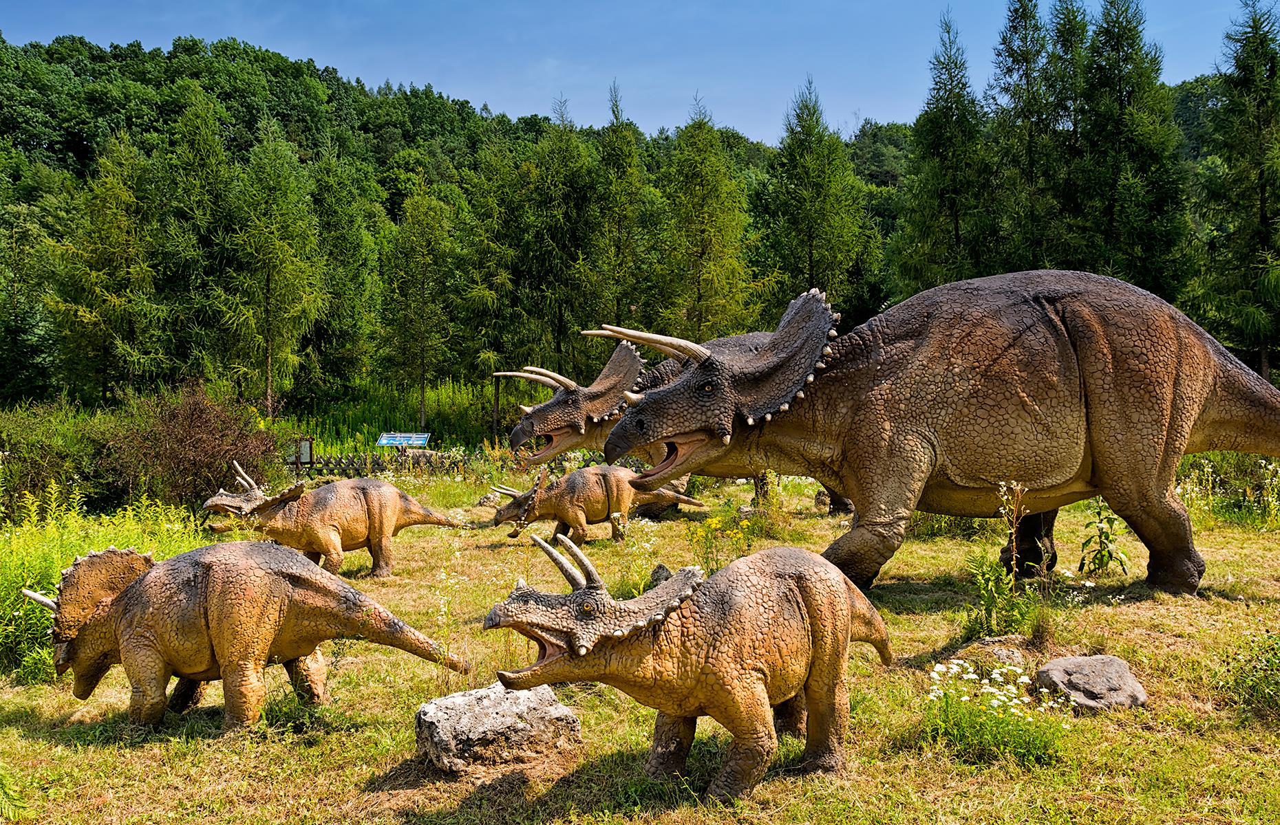 <p>You don’t have to love dinosaurs to love the sprawling <a href="https://juraparksolec.pl/">Baltow Jurassic Park</a>, but it certainly helps. Set in the Polish countryside, Europe’s largest dinosaur-themed park is a rather wonderful mix of natural history museum, woodland nature trails, playground and amusement park. With 100 life-size dinosaur models scattered around the grounds, it’s educational and fun, not to mention a great photo opportunity. Petite prehistorians will adore the prehistoric aquarium, an audiovisual experience that brings you face-to-face with a 65-foot (20m) megalodon shark. There's also a European bison safari, in case you want to see real-life animals.</p>