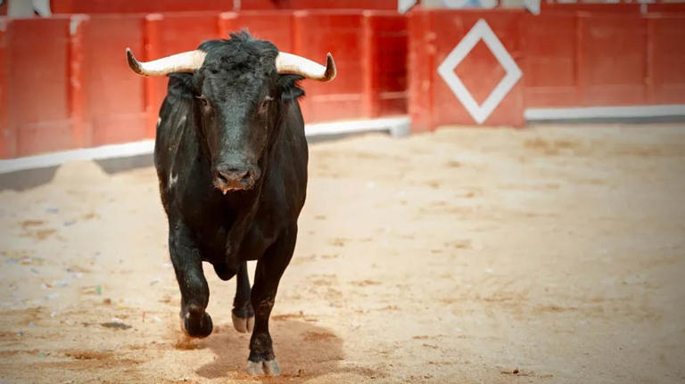 Diputados retiran iniciativas para prohibir corridas de toros y dobles semirremolques