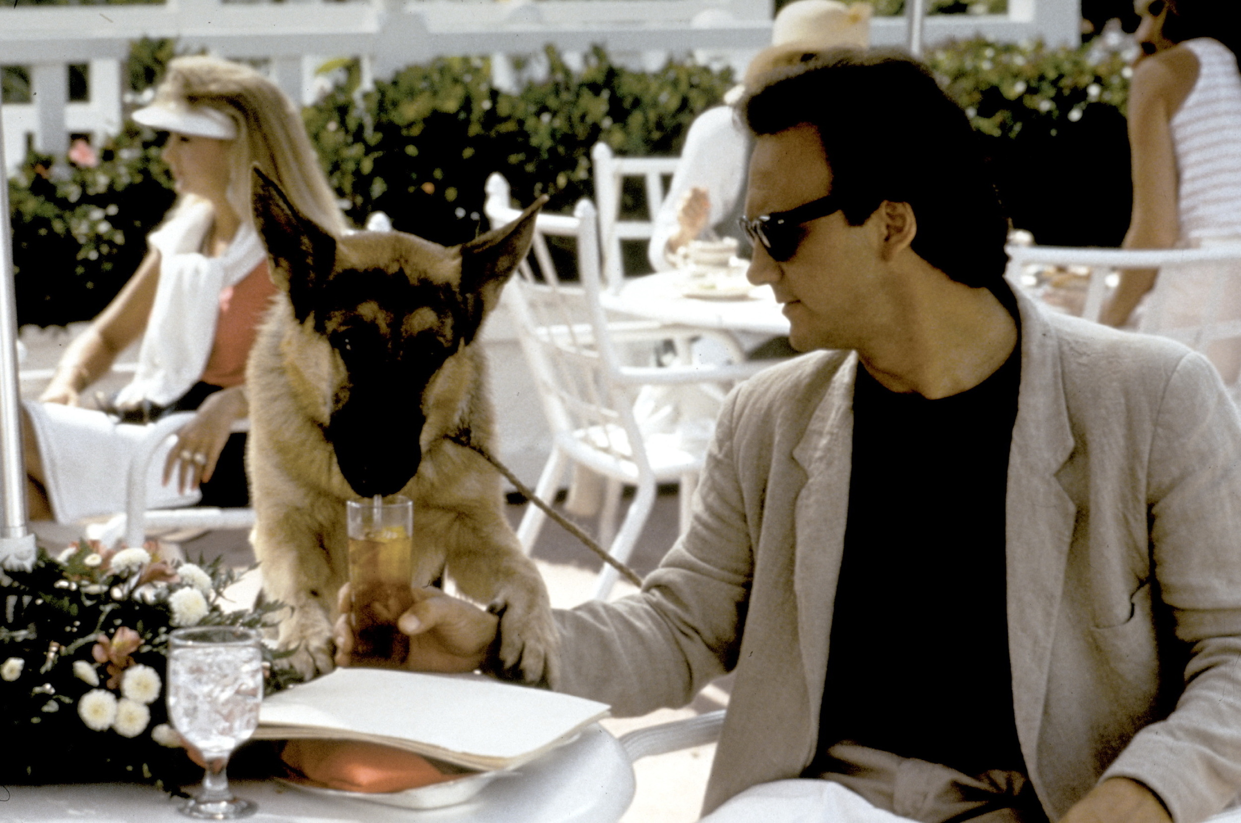 <p>Apparently 1989 was big for dogs and cops joining forces. This time, it’s Jim Belushi in the role of the cop, and his dog partner is a German shepherd, a more-traditional choice than Hooch. The movie isn’t quite on par with the Tom Hanks vehicle of the same year, but it found success anyway.</p><p><a href='https://www.msn.com/en-us/community/channel/vid-cj9pqbr0vn9in2b6ddcd8sfgpfq6x6utp44fssrv6mc2gtybw0us'>Follow us on MSN to see more of our exclusive entertainment content.</a></p>