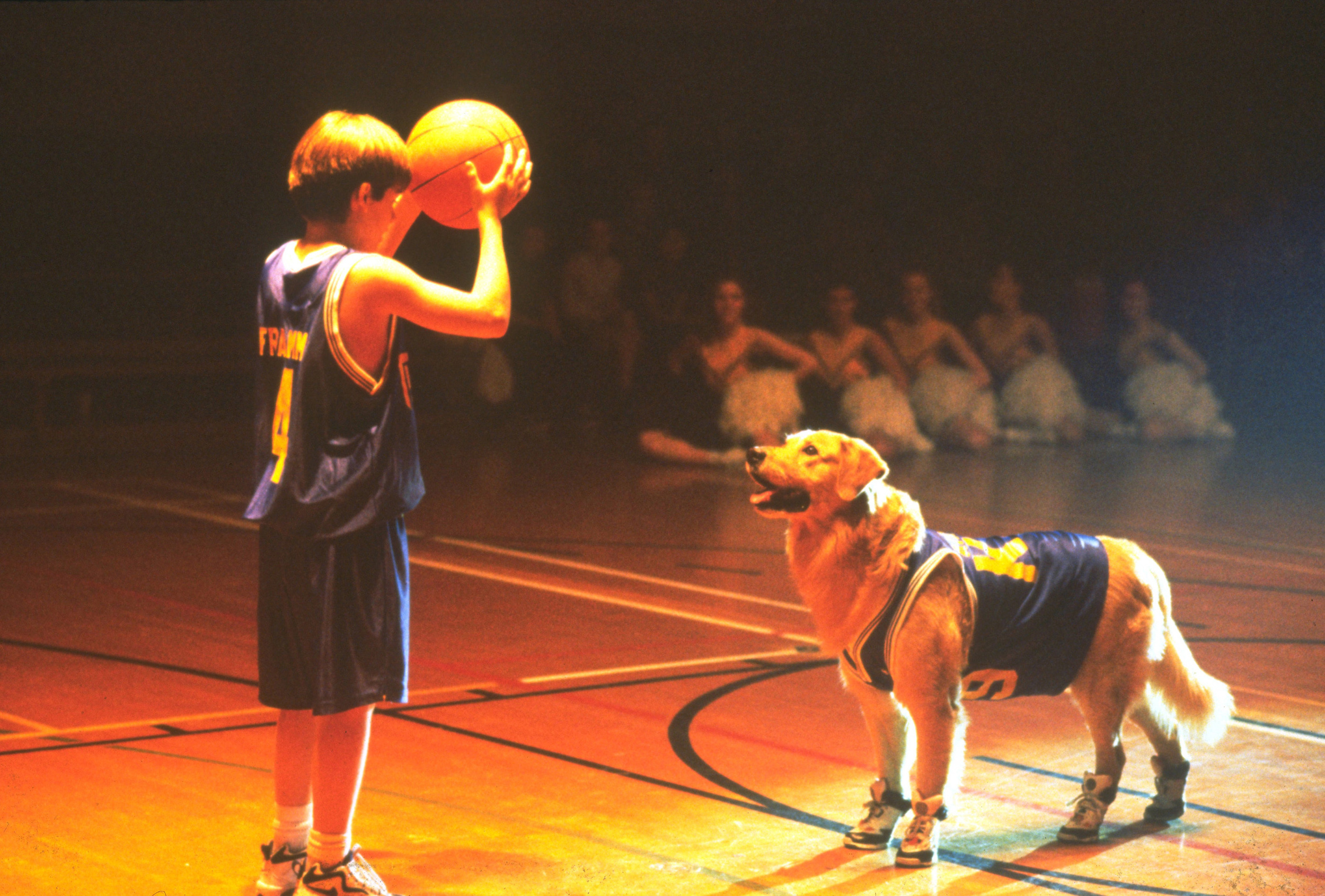 <p>One of the more-inexplicable movie series ever, “Air Bud” has made an impact on pop culture we cannot deny. This film about a dog that plays basketball basically revitalized the “animal plays sports” genre. It introduced a whole new generation to the “There’s nothing in the rulebook!” trope. Thanks, “Air Bud.”</p><p><a href='https://www.msn.com/en-us/community/channel/vid-cj9pqbr0vn9in2b6ddcd8sfgpfq6x6utp44fssrv6mc2gtybw0us'>Follow us on MSN to see more of our exclusive entertainment content.</a></p>