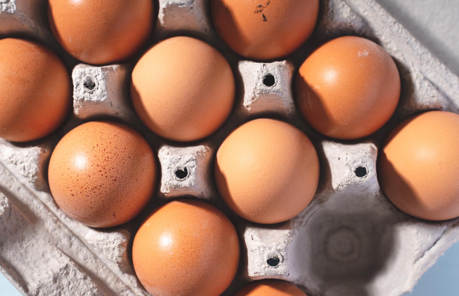 Everything you need to know to make perfect homemade burgers