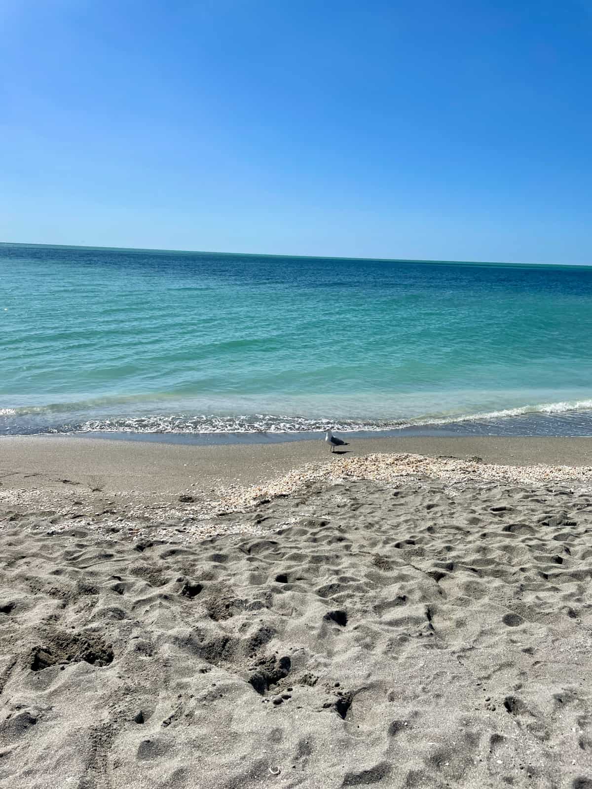 3 Must See Siesta Key Beaches