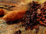 Ameisen & Mojojoy-Würmer aus der Küche des Amazonas