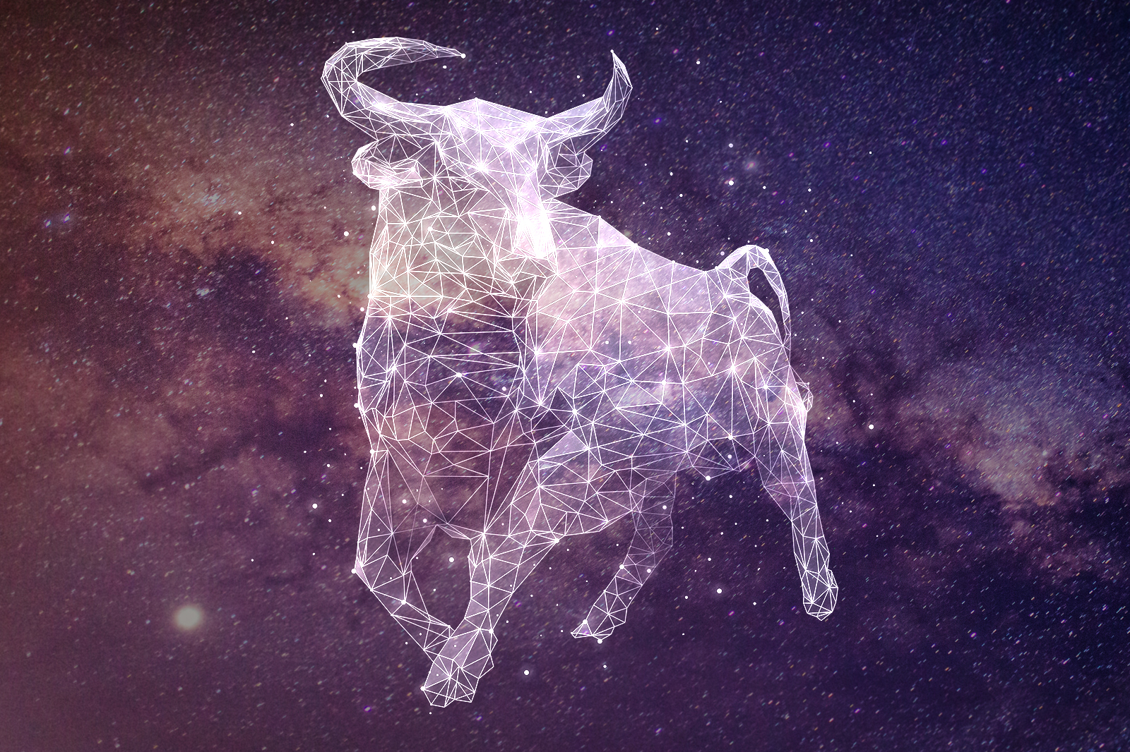Best Zodiac Sign Matches for True Love
