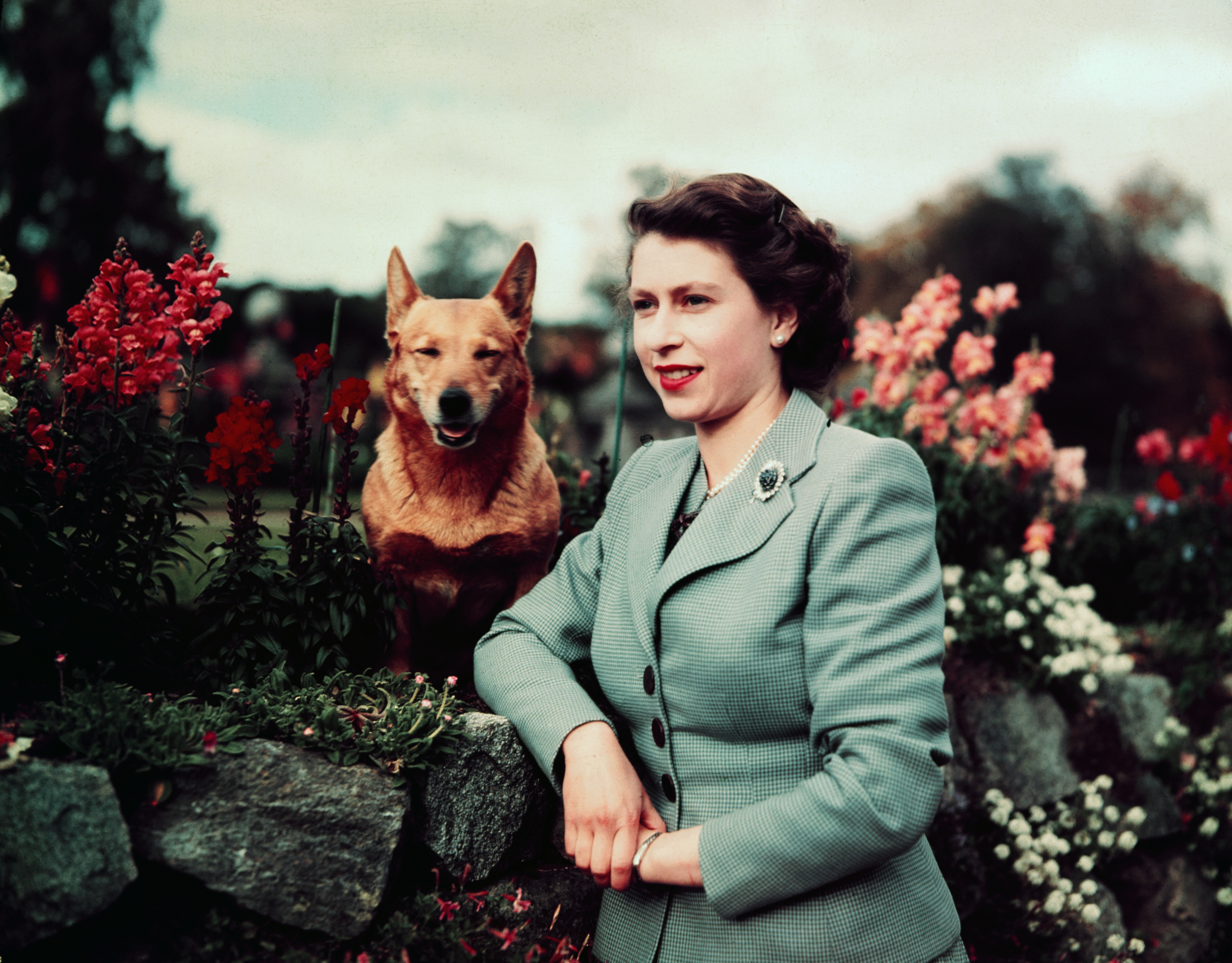 <p>Queen Elizabeth II posed with one of her beloved corgis at her Balmoral estate in Scotland on Sept. 28, 1952 -- almost exactly 70 years before she died there. </p>