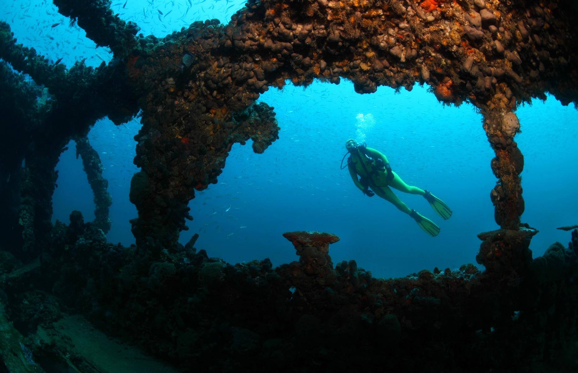 Haunting underwater photos reveal beautiful shipwrecks