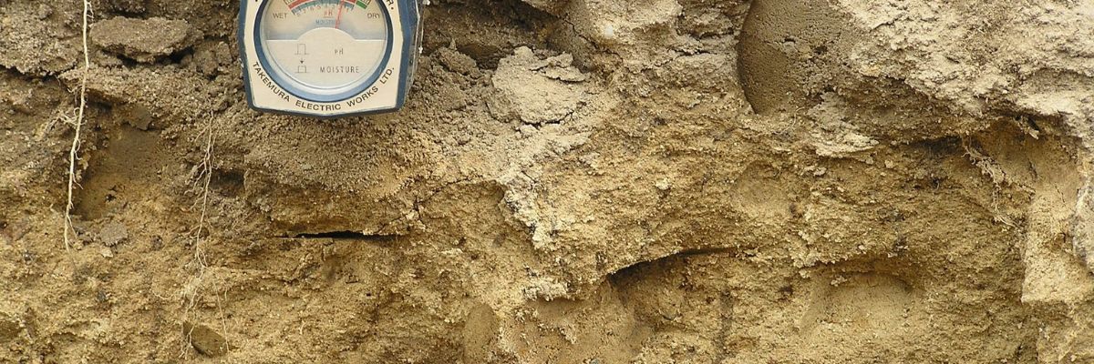 Soil Acidity 9 Things 2024 You Need To Know   AA19ETh2.img