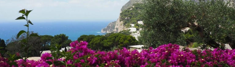 8 best restaurants in Capri Italy off the Amalfi Coast