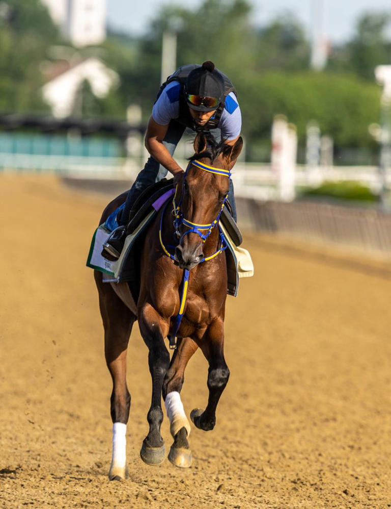 Get Ready for Race Day! Here's What to Know About This Year's Kentucky ...