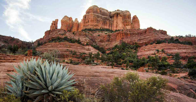 Are you looking for an Arizona road trip itinerary that includes history, cacti and canyons? Road-tripping is an excellent way to experience Arizona. Its natural wonders include cacti and canyons. The Grand Canyon is an awe-inspiring sight, renowned around the globe. However, there is much more to see on a road trip from Scottsdale. Traveling […]