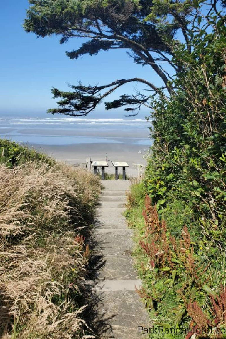 Olympic National Park Hikes