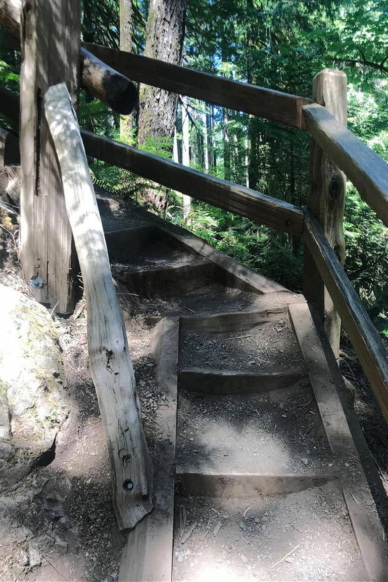 OLYMPIC NATIONAL PARK HIKES