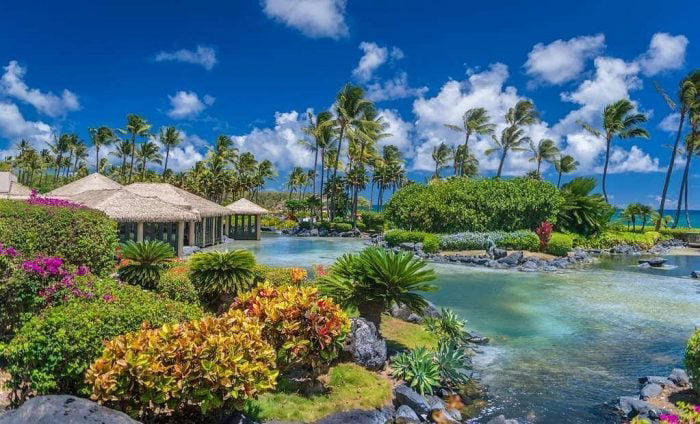Pool at hawaiian resort