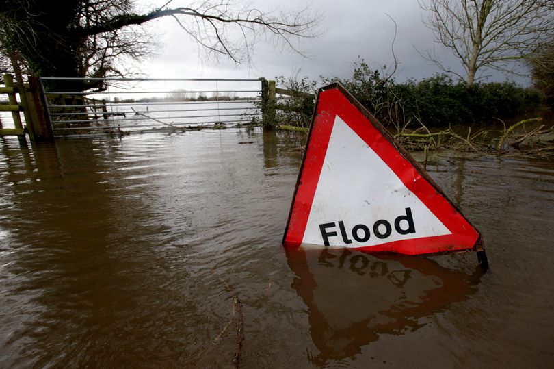 several flood alerts in place across somerset as more rain forecast
