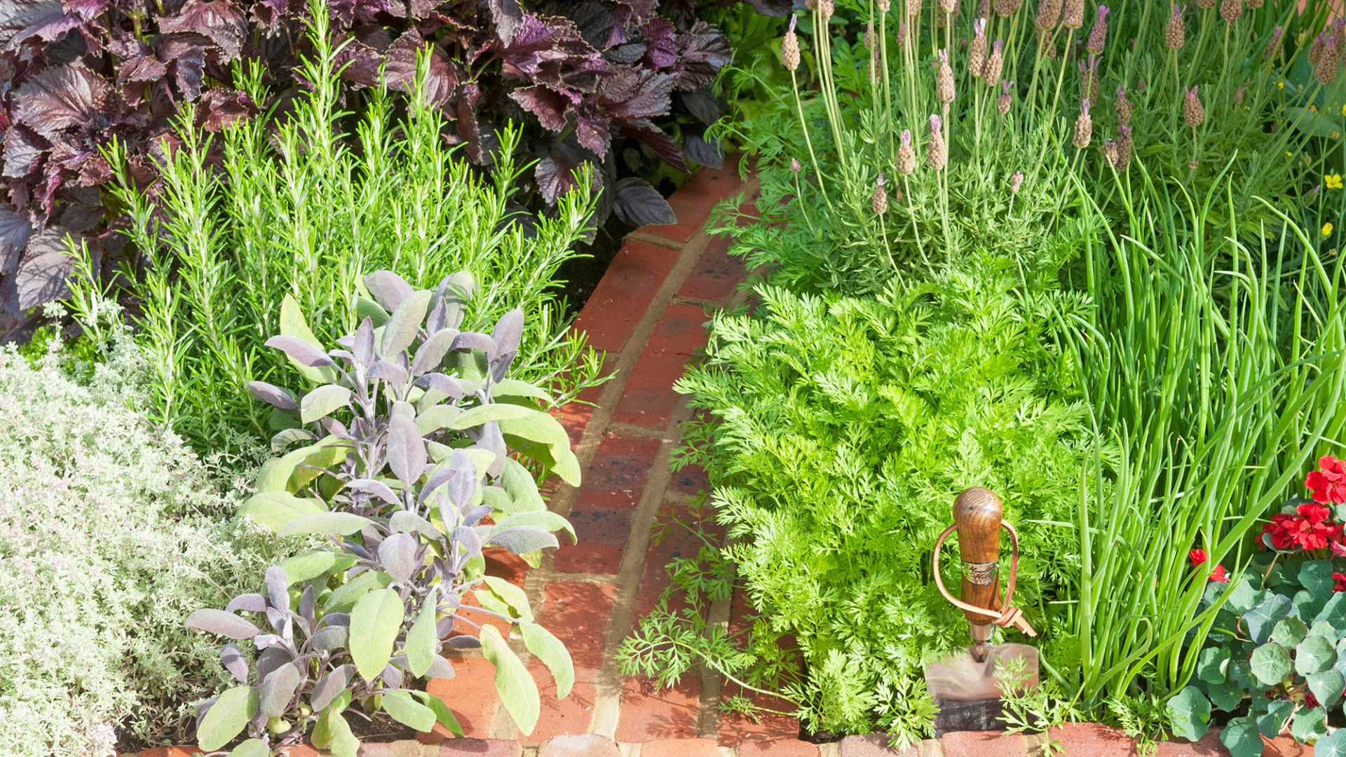 Herb garden ideas – 18 ways to grow an aromatic crop, indoors and outdoors