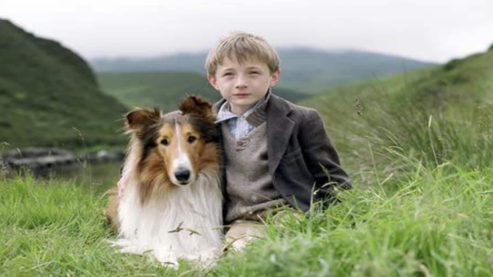<p>By now, most people associate the name “Lassie” with the iconic collie. <em>Lassie</em>, the movie, has sentimental value for families and their beloved dogs. Lots of families are faced with hardships or big life changes where they are forced to get rid of their pets. It can be a sad part of owning a pet.</p> <p>Well, we warned you. If you love dogs, you should probably skip these flicks.</p> <p><strong>READ MORE FROM WEALTH OF GEEKS:</strong></p>
