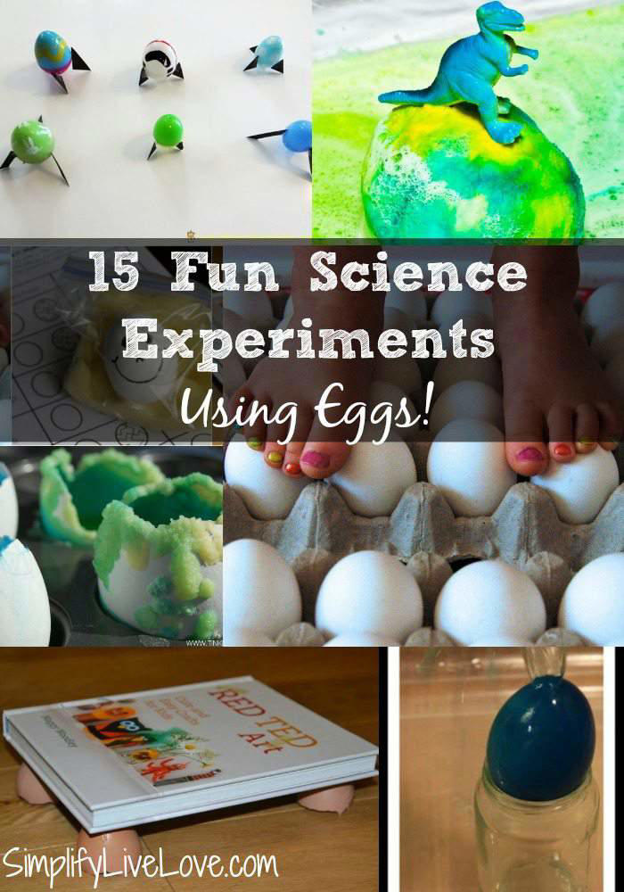 fun science experiments with eggs