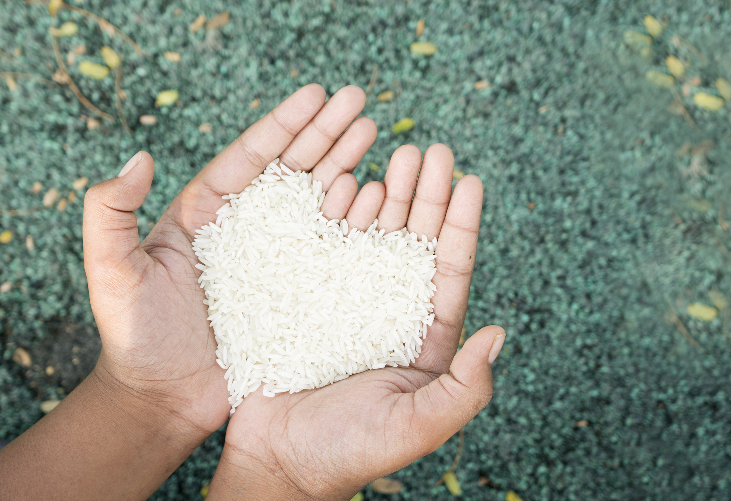 Rice Purity Score Myths Debunked By Leading Experts - s5i5sl9