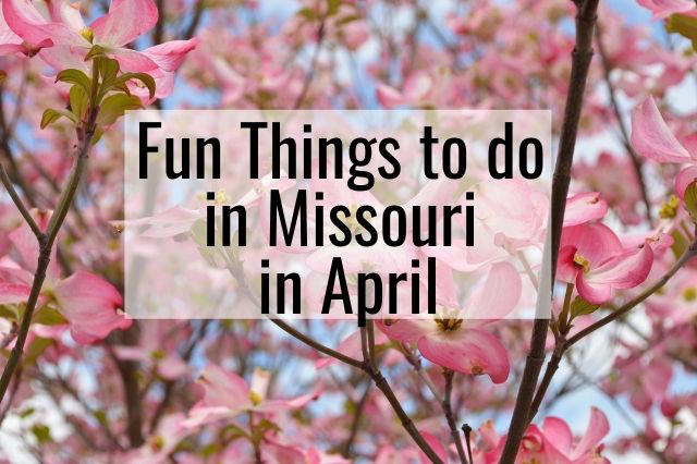 Last updated on April 5th, 2024 at 10:22 am.  Spring in Missouri is beautiful with blooming flowers, warming weather, and enjoyable days for outdoor activities. If you are looking for fun things to do in Missouri in April, we’ve got the lowdown with 15 fun things to do throughout the state during the month.    April is ...