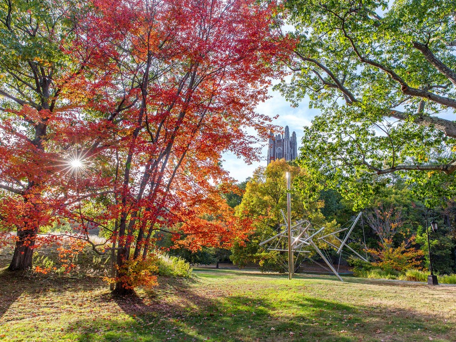 <p>The <a href="https://www.businessinsider.com/most-beautiful-college-campuses-in-america-2017-8">500-acre campus</a> comes with <a href="http://www.wellesley.edu/about/campus">a private lake</a>.</p>