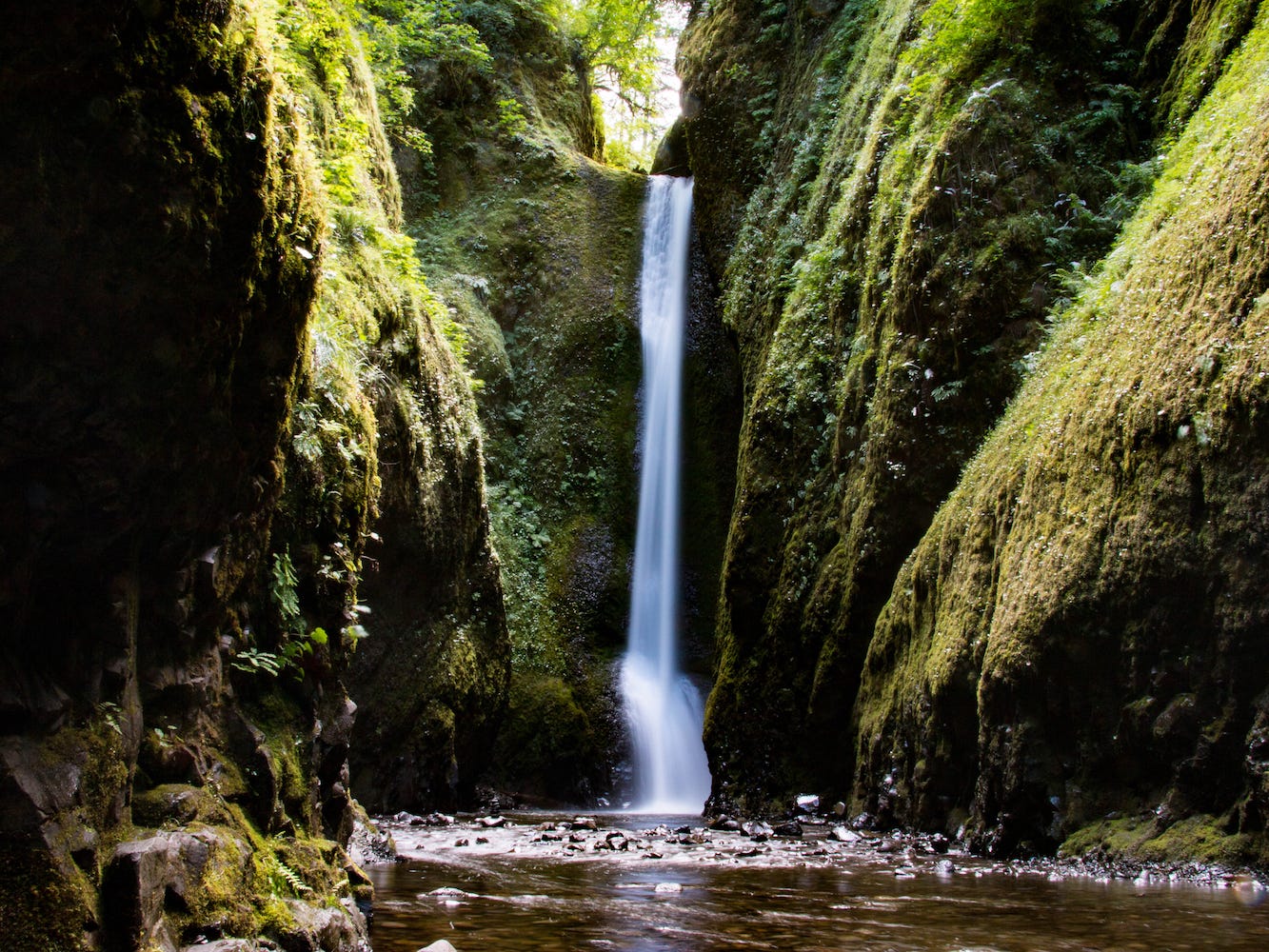 <p>The gorge is tucked away inside <a href="https://www.insider.com/best-waterfalls-in-the-us-2018-3#oneonta-gorge-oregon-4">vibrant green cliffs</a>.</p>