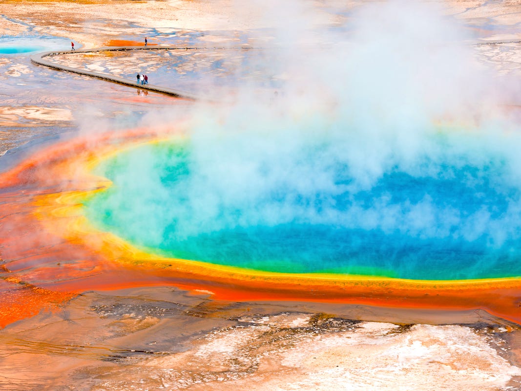 <p>The water coming from a <a href="https://www.yellowstonepark.com/things-to-do/grand-prismatic-midway-geyser-basin">crack in the ground running 121 feet deep</a> gets its vibrant hues from bacteria living around the spring.</p>